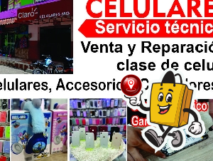 CELULARES MG.