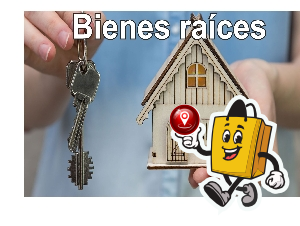 Bienes raíces