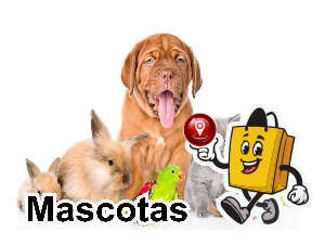 Mascotas