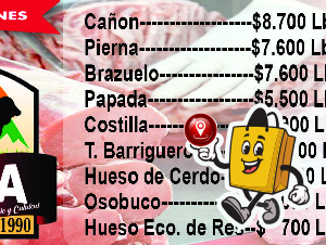 CARNES CIPA